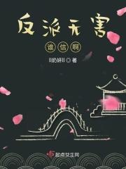 无反派