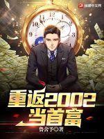 重生之重返2002