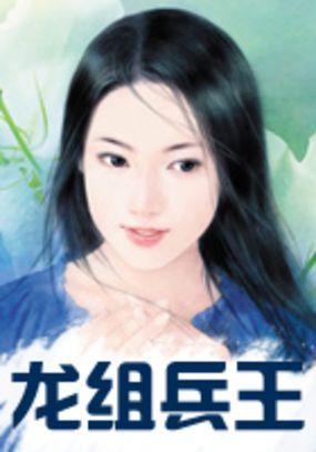 龙组兵王2