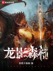龙影数字科技有限公司