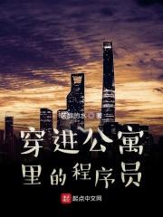 爱情公寓主角工资
