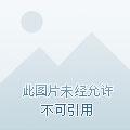 游戏重生