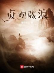 贞观 什么意思