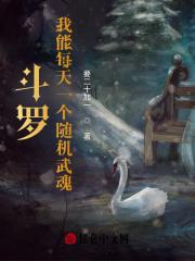 斗罗大陆之我能抽取无数武魂