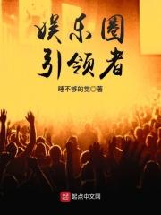 娱乐圈领导者