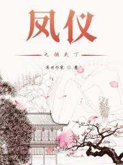 凤仪之诏凤仪之君