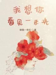 歌词我看见一束光
