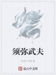 须弥5技能打书