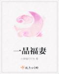 一品夫人网站