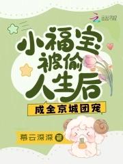 主角小名叫福宝的