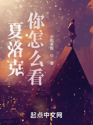 对于夏洛克的评价
