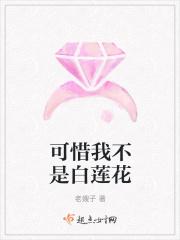 可惜我不是她