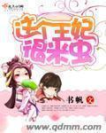 这个王妃有点坏
