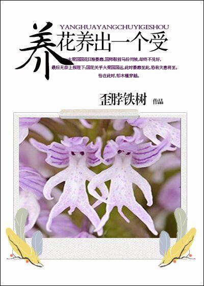 我家王妃是逗比全文免费阅读