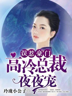 误惹亳门高冷总裁夜夜宠
