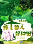 撩不停!免费阅读