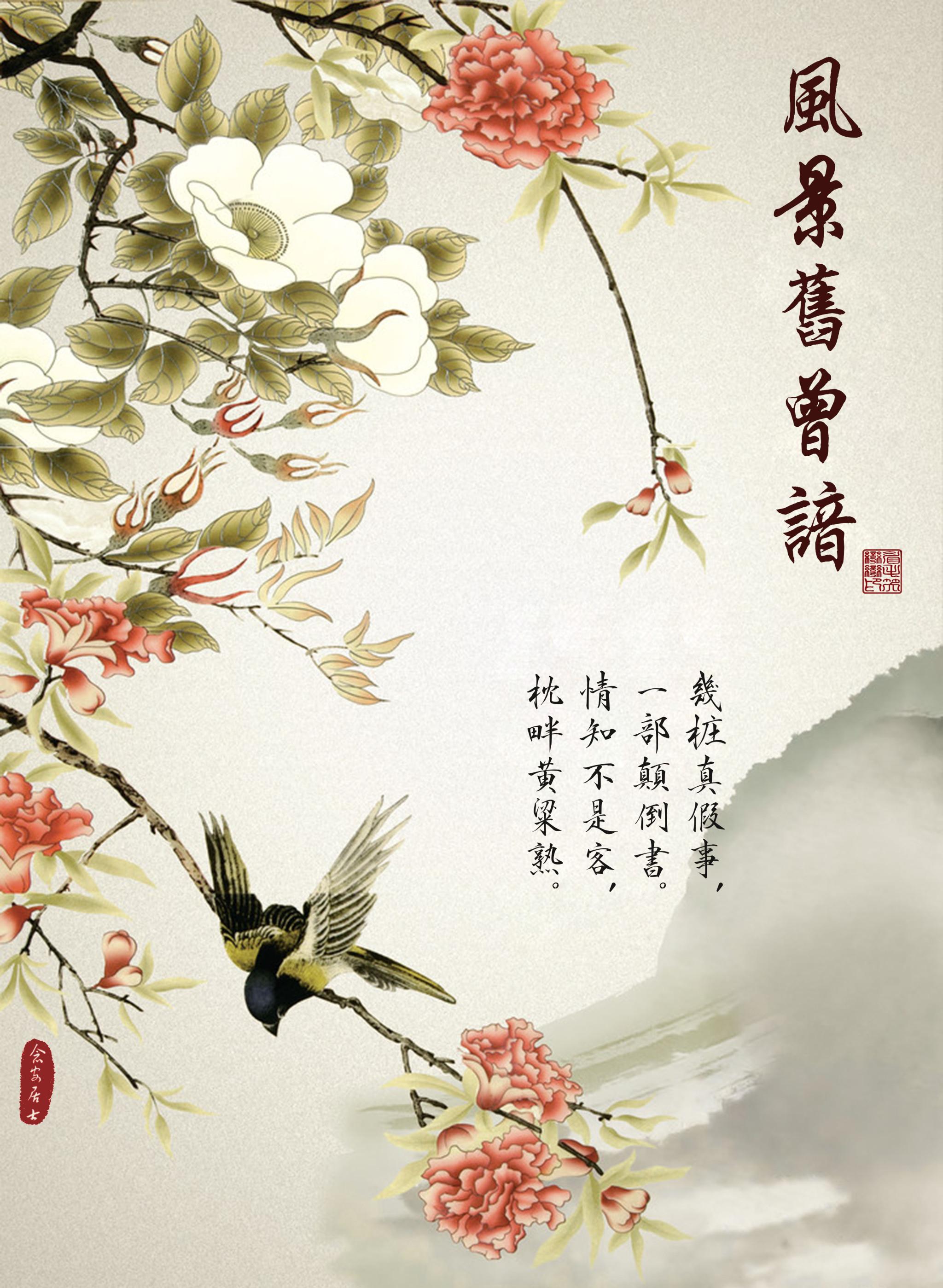 红楼之画风清奇