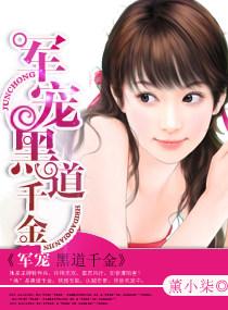 黑道军火宠妻全文免费阅读