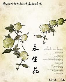 永生花图片