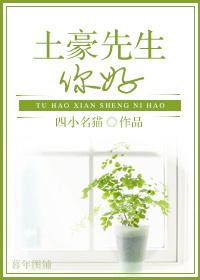 你好土豪完整版