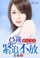 独家乖宠总裁追妻套路深全文免费