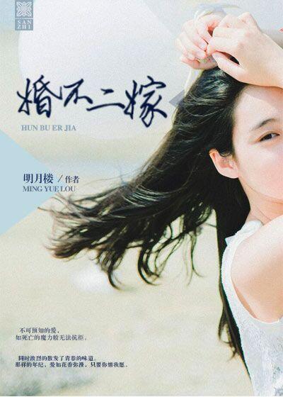 二婚不二全部目录