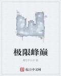 极限巅峰评测