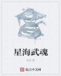 星璇武魂