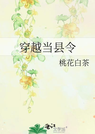 穿越当县令动画