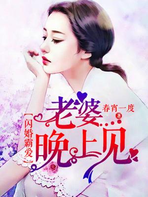 闪婚霸爱老婆晚上见全文免费