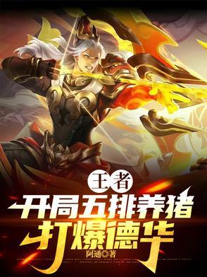王者五排养猪怎么打