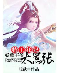 特工王妃