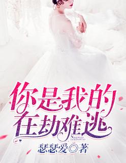 你是我的在劫难逃全文免费阅读