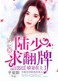 娇妻至上陆少别来无恙