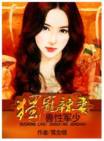名门大少宠妻无度