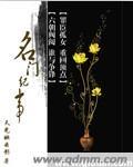 名门纪事书评