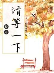 校草请留步百科