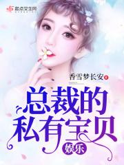 总裁的私有宝贝晋江