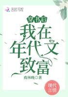 穿越后我在年代文致富