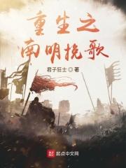 重生南明之重炮帝国