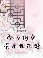 歌曲 今夕何夕