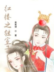 红楼之继承人