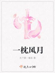 一枕风月录