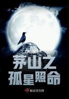 茅山遗孤abc