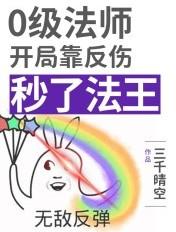 法师不能出反甲吗