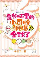 霍爷的小野猫全文阅读