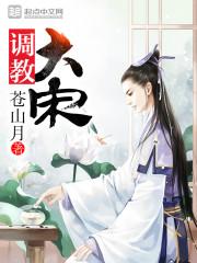调教大宋 笔趣
